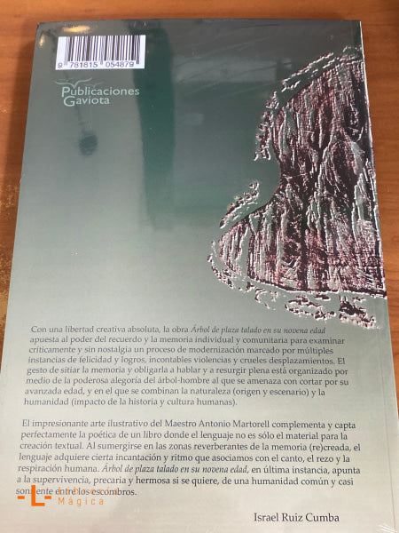 Árbol de plaza talado en su novena edad