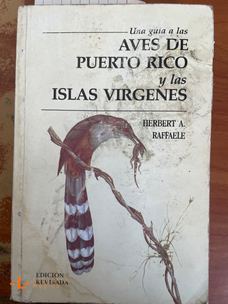 Una Guía a las Aves de Puerto Rico y las Islas Vírgenes-